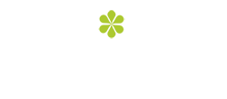 אשד הנדסה